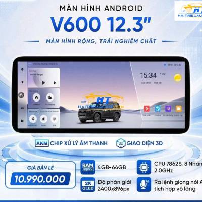 M&agrave;n h&igrave;nh android Vincar V600