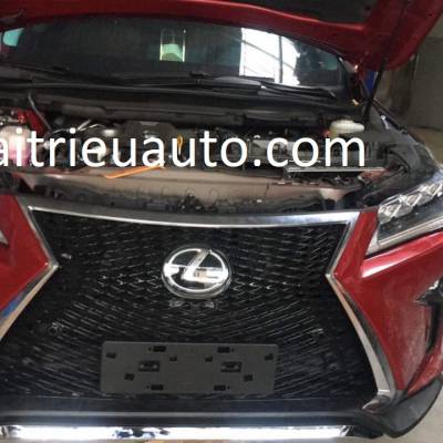 Mặt ca lăng xe Lexus RX 300