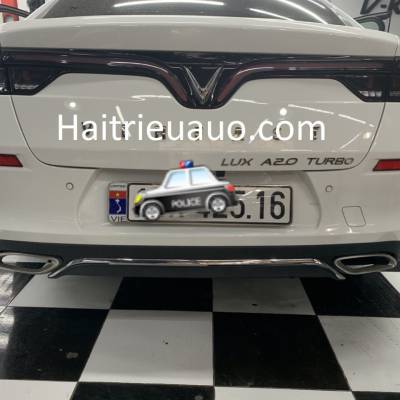 L&iacute;p chia p&ocirc; xe VinFast Lux