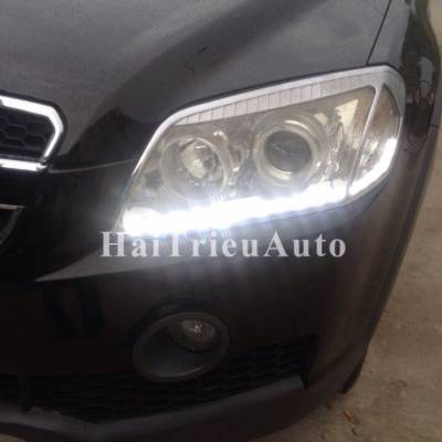 Độ led m&iacute; cho xe captiva