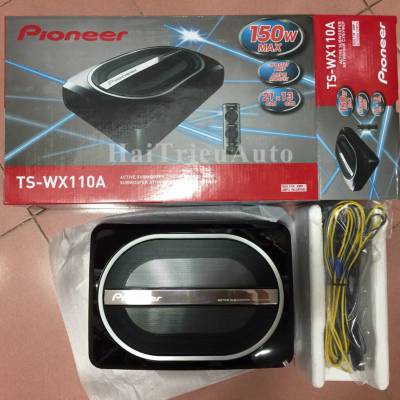 Loa Sub gầm ghế Pioneer TS-WX110A