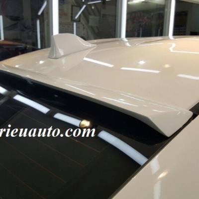 Đu&ocirc;i c&aacute; tr&ecirc;n n&oacute;c k&iacute;nh hậu Vios