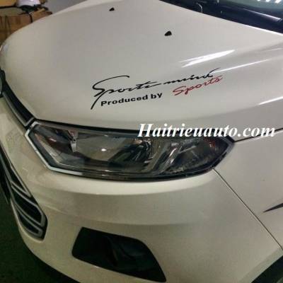 Viền đ&egrave;n trước xe Ecosport 2016