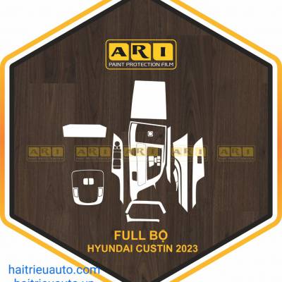 D&aacute;n nội thất PPFxe Hyundai Custin