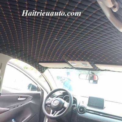 Bọc trần da 5D xe hơi