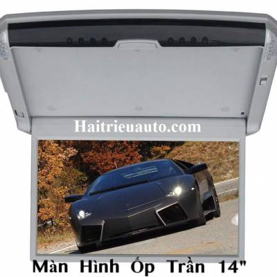 m&agrave;n h&igrave;nh ốp trần14 inch