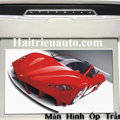 m&agrave;n h&igrave;nh ốp trần17 inch